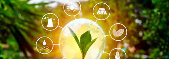 AI in Renewable Energy